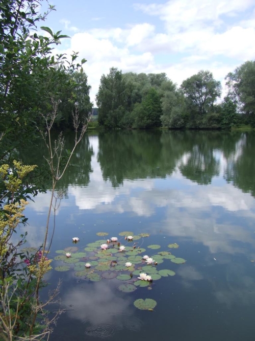 DSCF5424