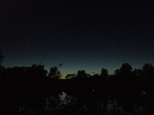 DSCF5569