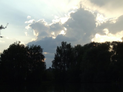 DSCF5678