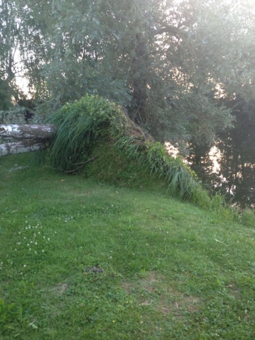 IMG-20160721-WA0006
