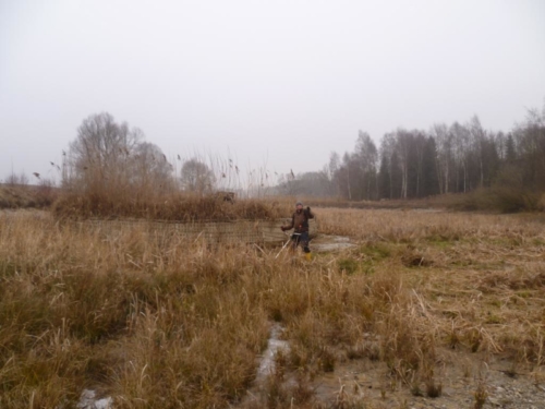 Sanierung mittlerer Weiher 004