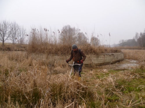 Sanierung mittlerer Weiher 006