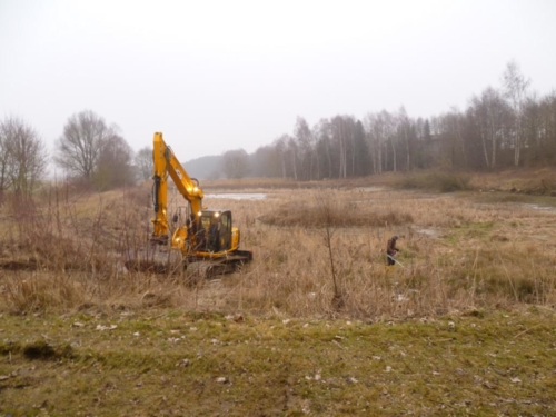 Sanierung mittlerer Weiher 010