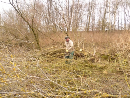 Sanierung mittlerer Weiher 029