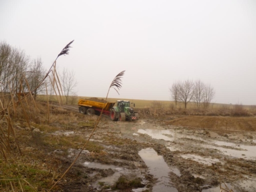 Sanierung mittlerer Weiher 033