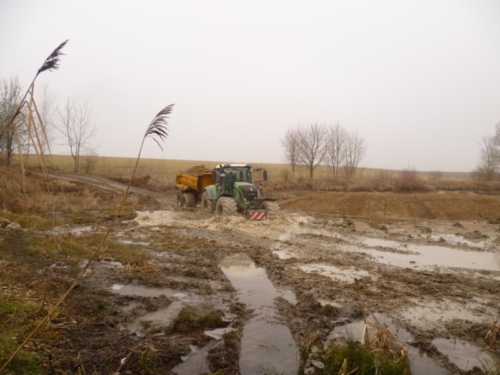 Sanierung mittlerer Weiher 034