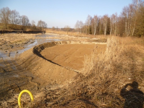 Sanierung mittlerer Weiher 058