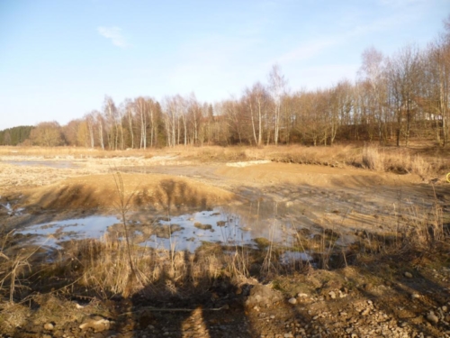 Sanierung mittlerer Weiher 064