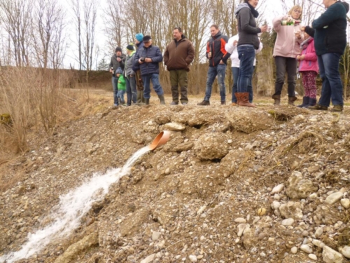 Sanierung mittlerer Weiher 083