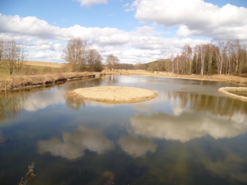 Sanierung mittlerer Weiher 088