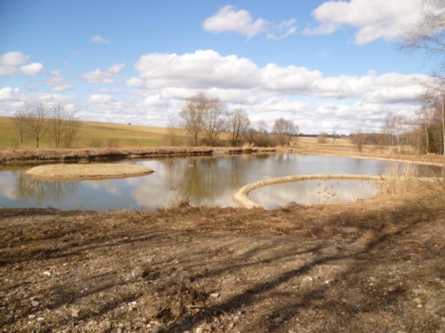 Sanierung mittlerer Weiher 089