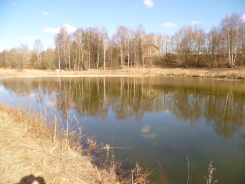 Sanierung mittlerer Weiher 092
